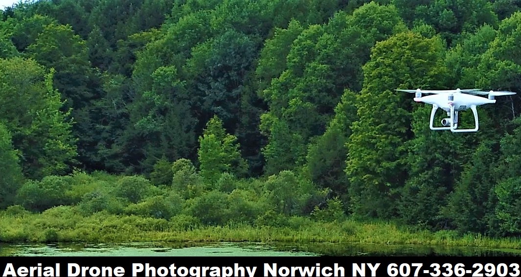 Pennysaver Online NY Pennysaver Classifieds